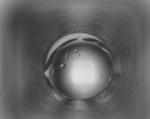 X0000073420424200608041029