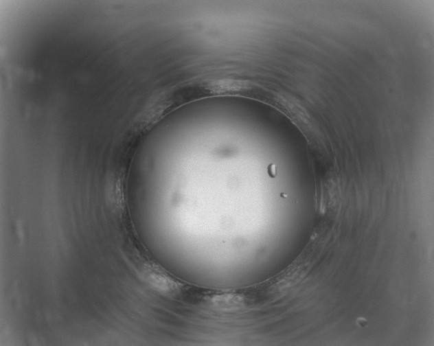 X0000073420426200608041029