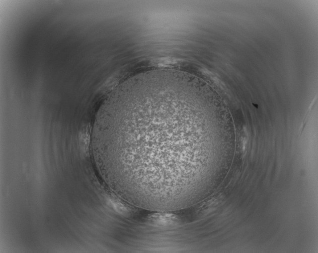 X0000073420427200608041029