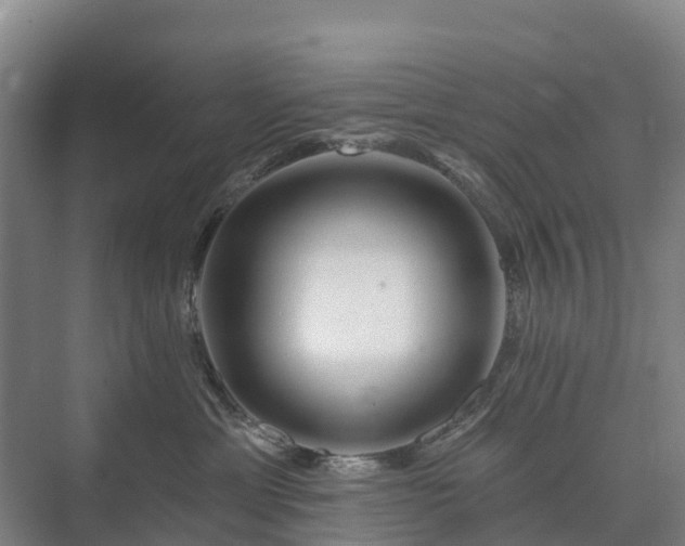 X0000073420429200608041029