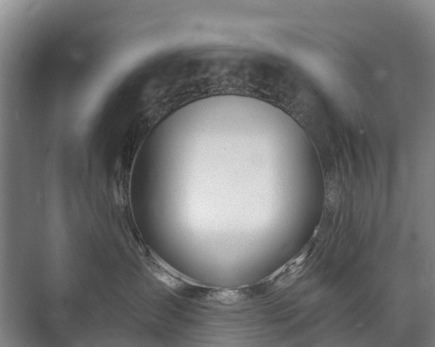 X0000073420431200608041029