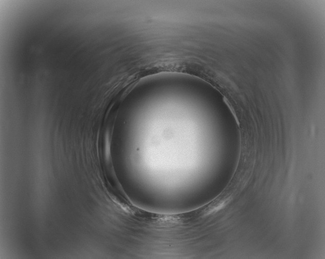 X0000073420432200608041029