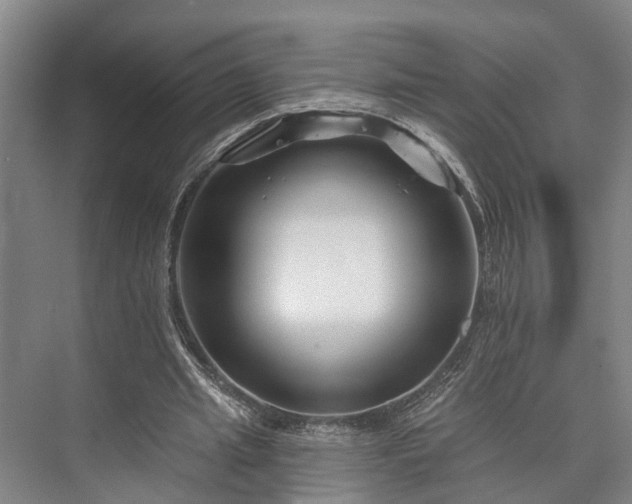 X0000073420437200608041028