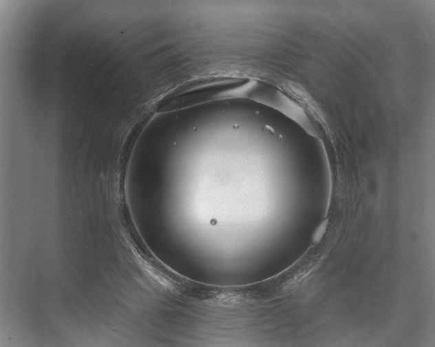 X0000073420441200608041028