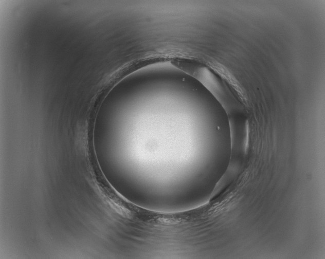 X0000073420442200608041028