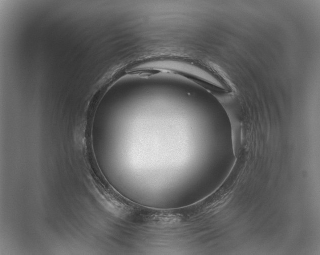 X0000073420443200608041028