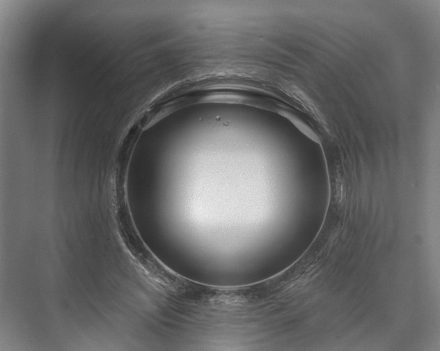 X0000073420444200608041028