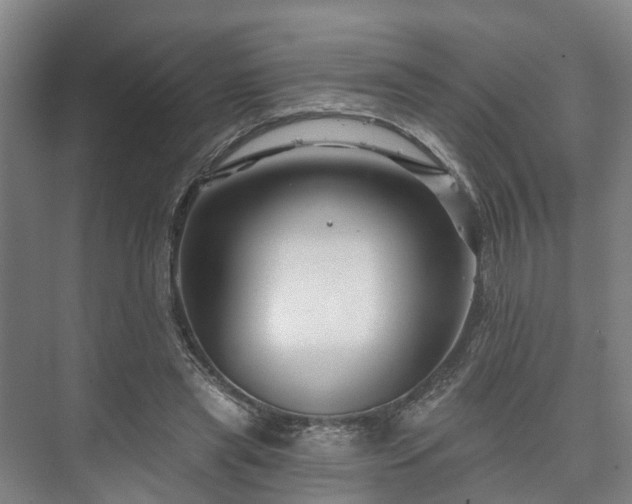 X0000073420445200608041028