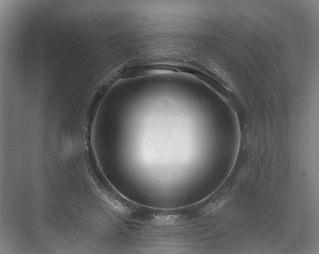 X0000073420450200608041028