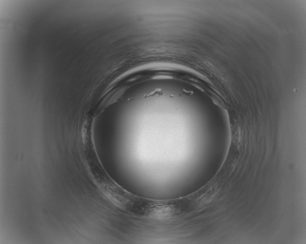 X0000073420456200608041029