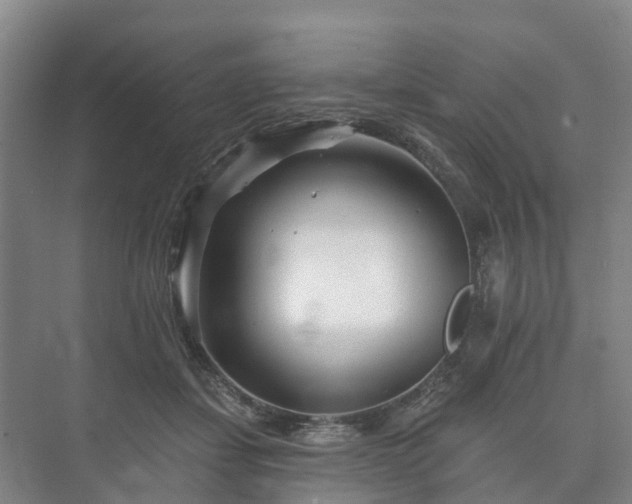 X0000073420459200608041029