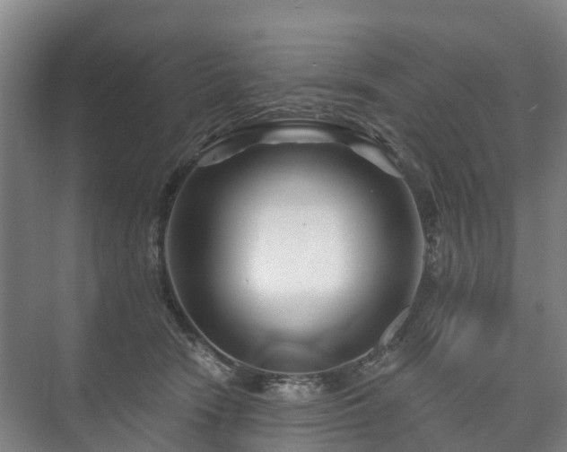 X0000073420466200608041029