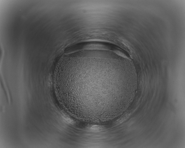 X0000073420467200608041029