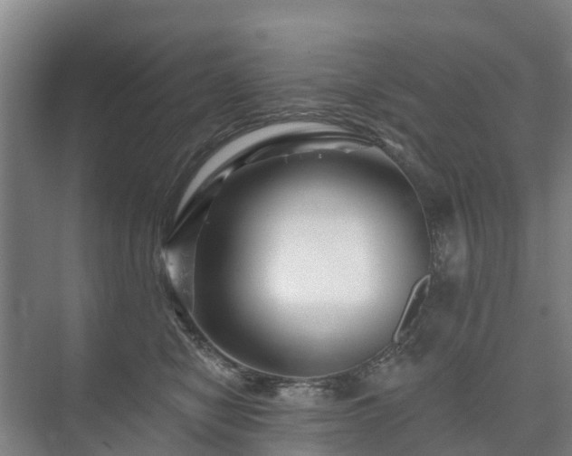 X0000073420470200608041029