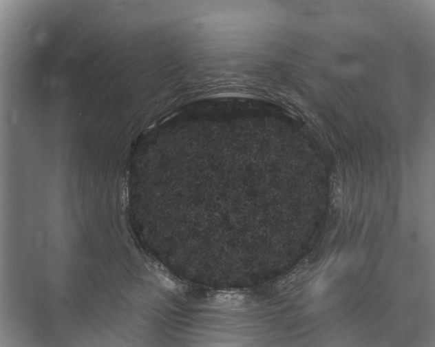 X0000073420471200608041029