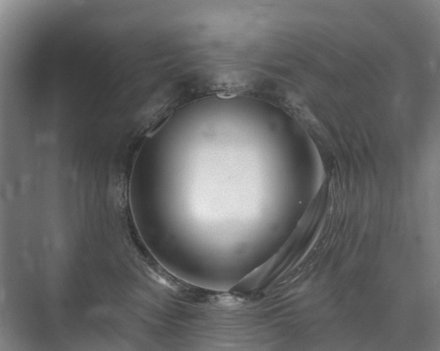 X0000073420474200608041029