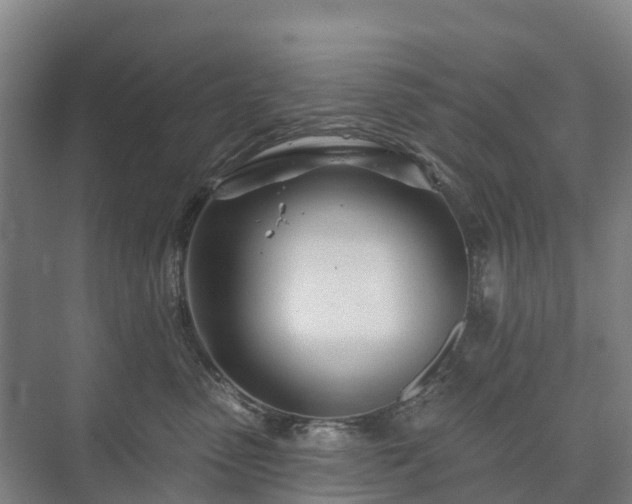 X0000073420475200608041029