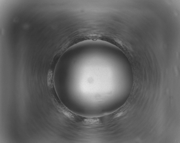 X0000073420480200608041029