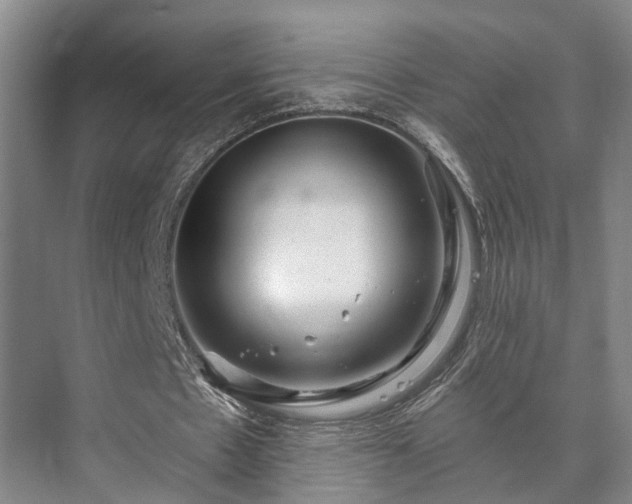 X0000073420481200608041028