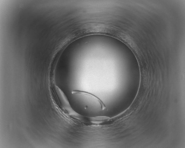 X0000073420482200608041028