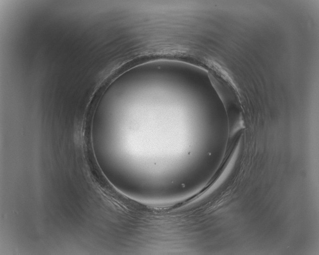 X0000073420483200608041028