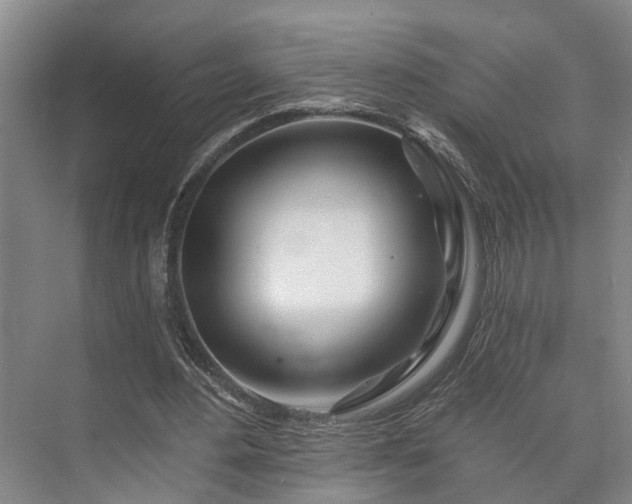 X0000073420484200608041028