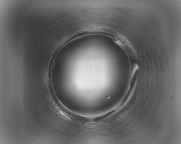 X0000073420485200608041028