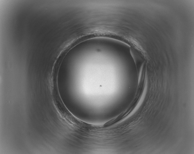 X0000073420488200608041028