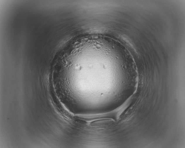 X0000073420491200608041028