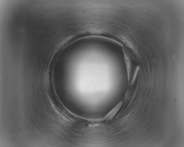 X0000073420492200608041028