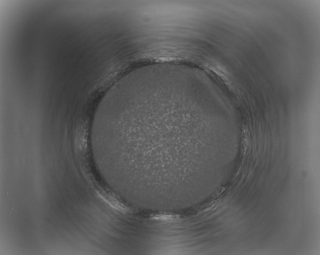 X0000073420499200608041028