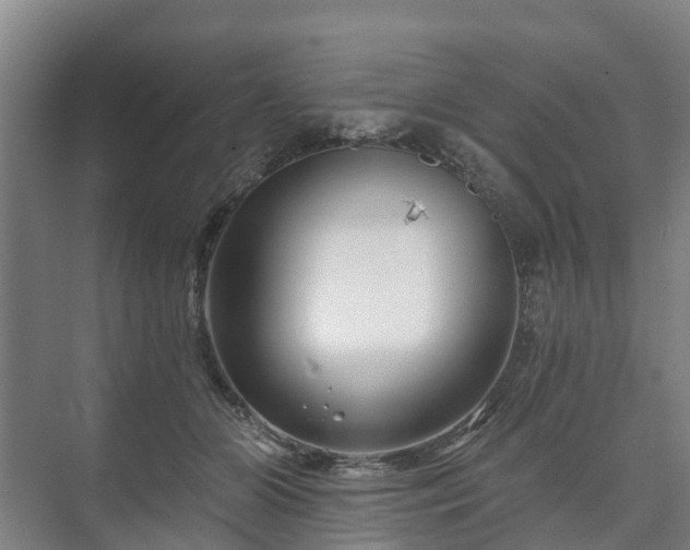 X0000073420510200608041028