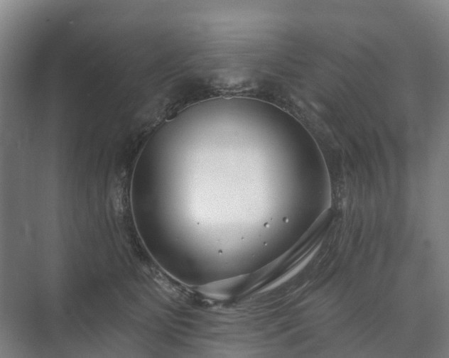 X0000073420515200608041028