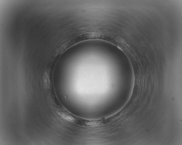 X0000073420516200608041028