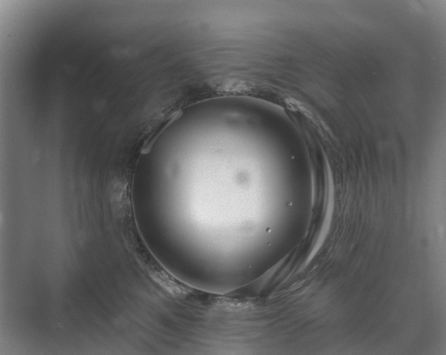 X0000073420521200608041027