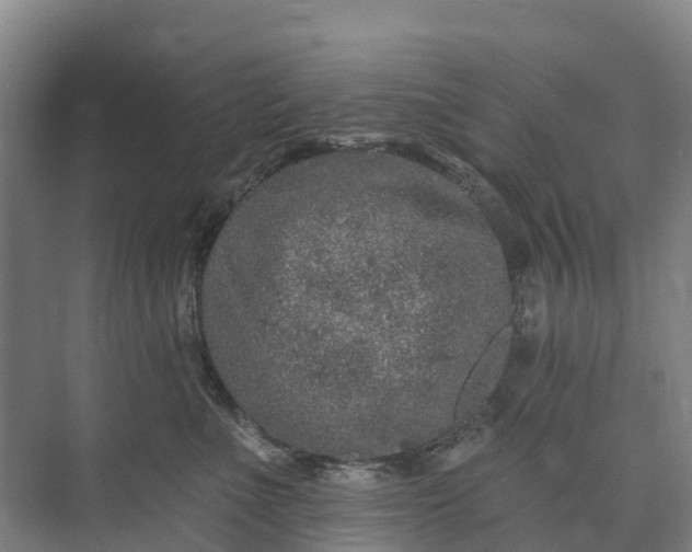 X0000073420523200608041027