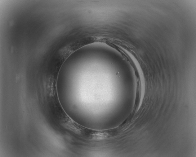 X0000073420525200608041027