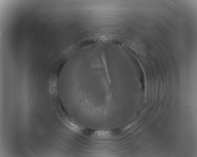 X0000073420526200608041027