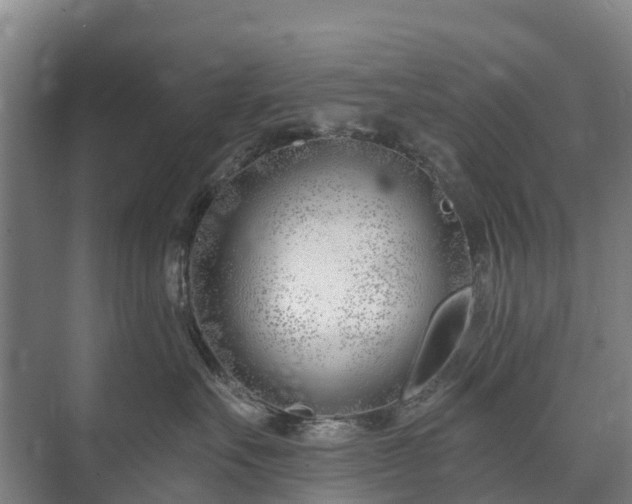 X0000073420527200608041027