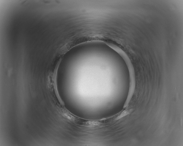 X0000073420528200608041027