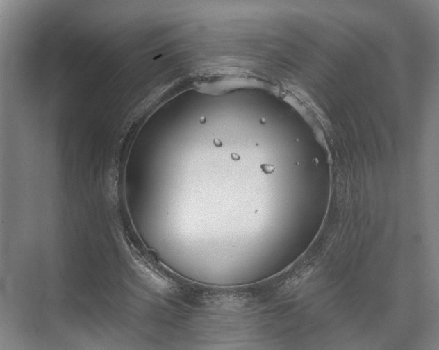 X0000073420533200608041027