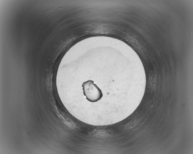 X0000073420534200608041027