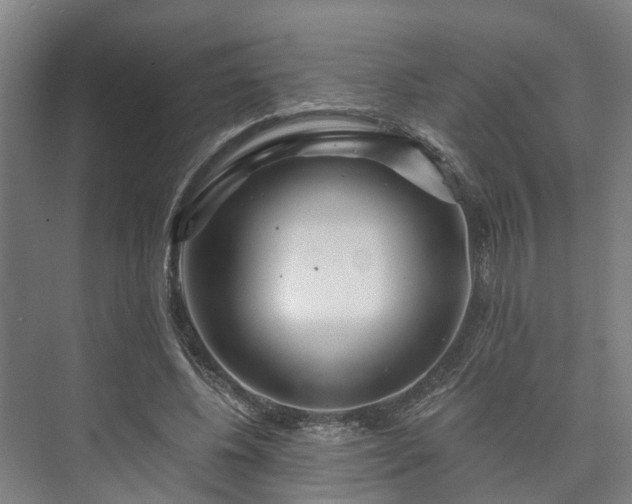 X0000073420540200608041027