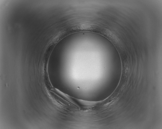 X0000073420542200608041027