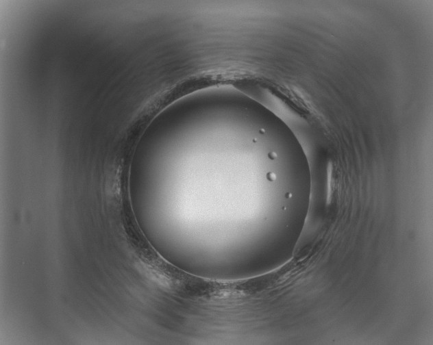 X0000073420543200608041027