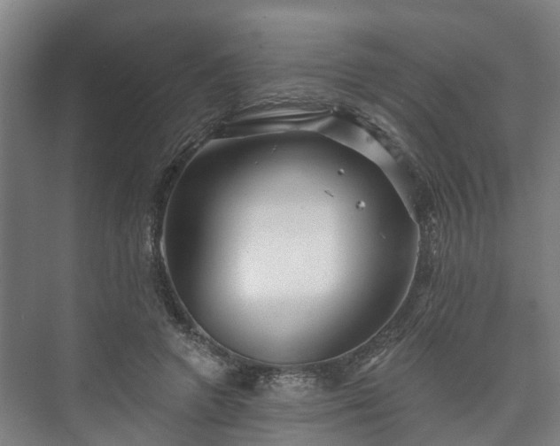 X0000073420546200608041027