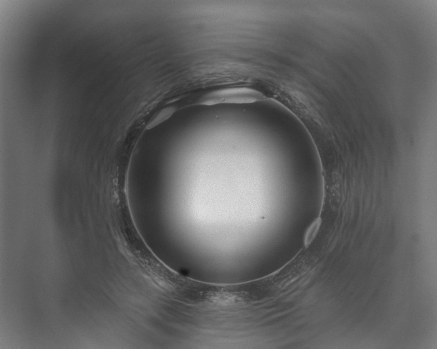 X0000073420547200608041027