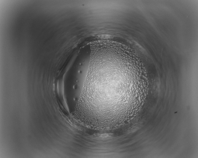 X0000073420553200608041027