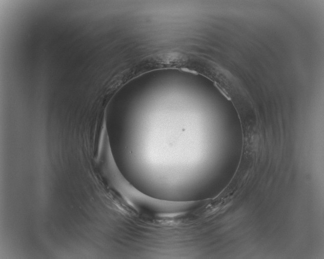 X0000073420558200608041027