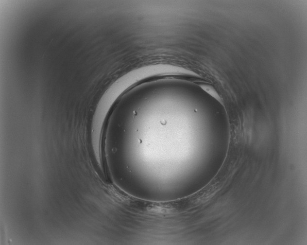 X0000073420561200608041027